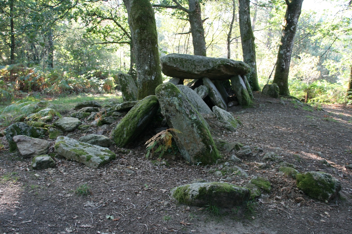 Les mégalithes des Landes de Lanvaux | Becedia